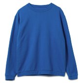 Толстовка Spider 260, ярко-синяя Толстовка Spider 260, ярко-синяя