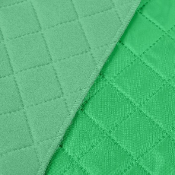 Плед для пикника Soft & Dry, светло-зеленый