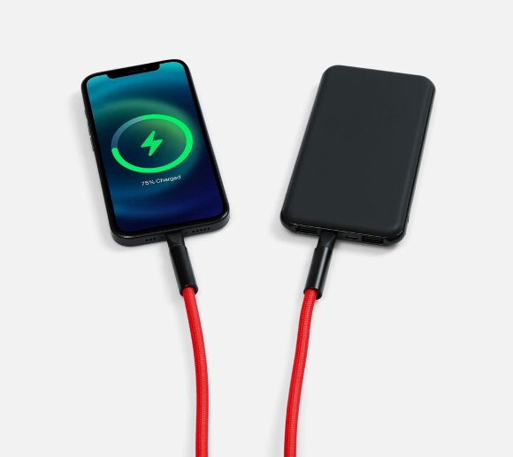 Кабель-ланьярд energyFlex Power Delivery 60 Вт, красный Кабель-ланьярд energyFlex Power Delivery 60 Вт, красный
