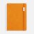 Ежедневник Urban Metal, недатированный, оранжевый