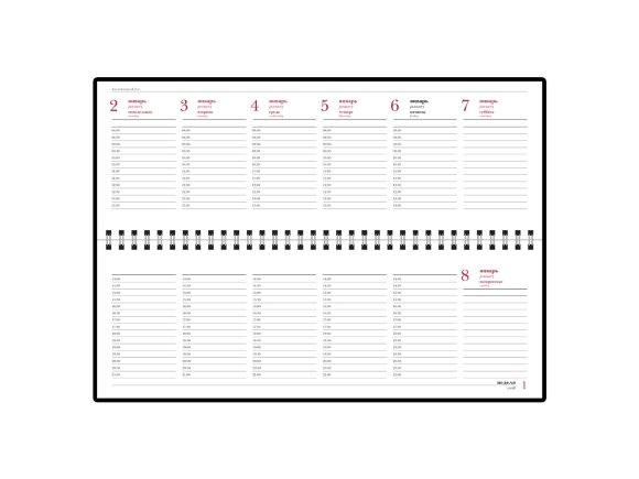 Планинг датированный Бумвинил 2025, коричневый