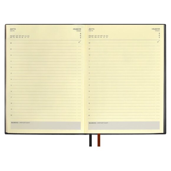 Ежедневник Avila, недатированный, черный Ежедневник Avila, недатированный, черный