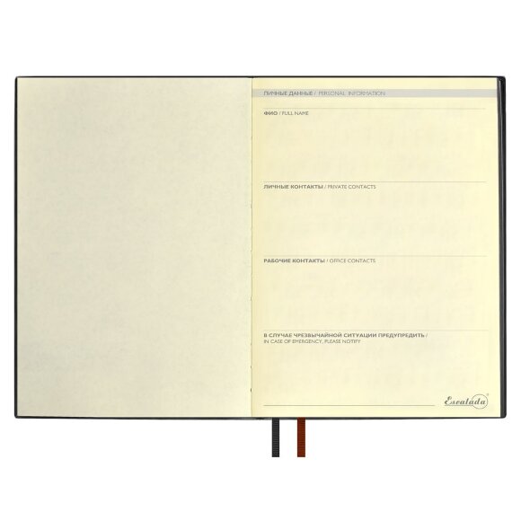 Ежедневник Avila, недатированный, черный Ежедневник Avila, недатированный, черный