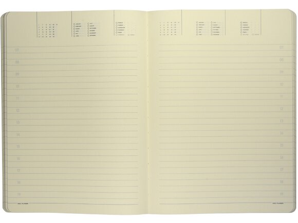 Ежедневник недатированный B5 Megapolis Flex (черный)