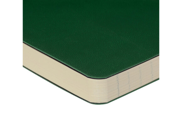 Ежедневник недатированный B5 Megapolis Flex (зеленый)