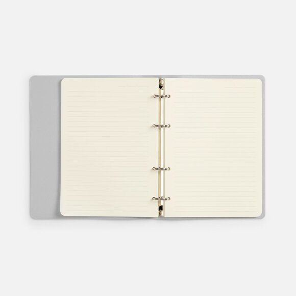 Ежедневник Ringo, недатированный, серебристый