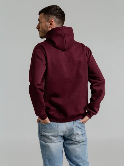 Толстовка с капюшоном Snake II бордовая Толстовка с капюшоном Snake II бордовая