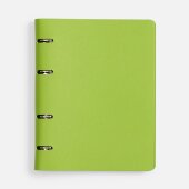 Ежедневник Ringo, недатированный, зеленый Ежедневник Ringo, недатированный, зеленый