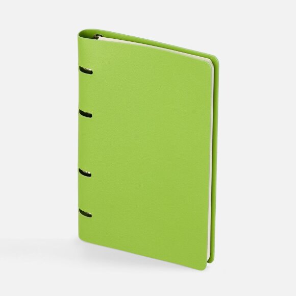 Ежедневник Ringo, недатированный, зеленый Ежедневник Ringo, недатированный, зеленый