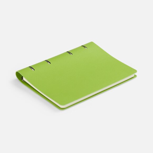 Ежедневник Ringo, недатированный, зеленый Ежедневник Ringo, недатированный, зеленый