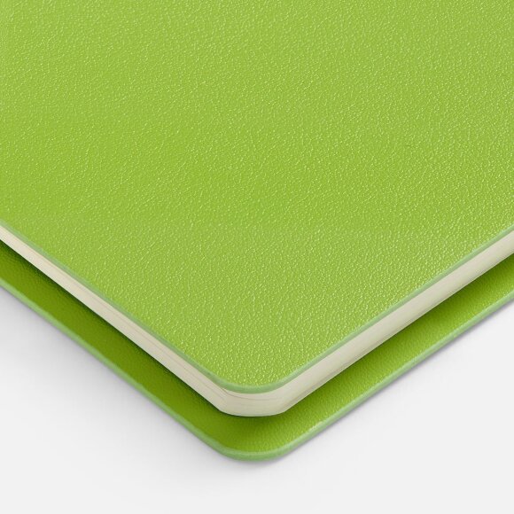 Ежедневник Ringo, недатированный, зеленый Ежедневник Ringo, недатированный, зеленый