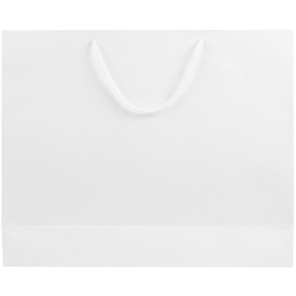 Пакет бумажный «Блеск», большой, белый