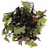 Набор Immuni, мед с имбирем и лимоном