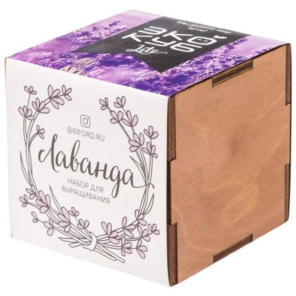 Набор для выращивания «Экокуб Lite», лаванда Набор для выращивания «Экокуб Lite», лаванда