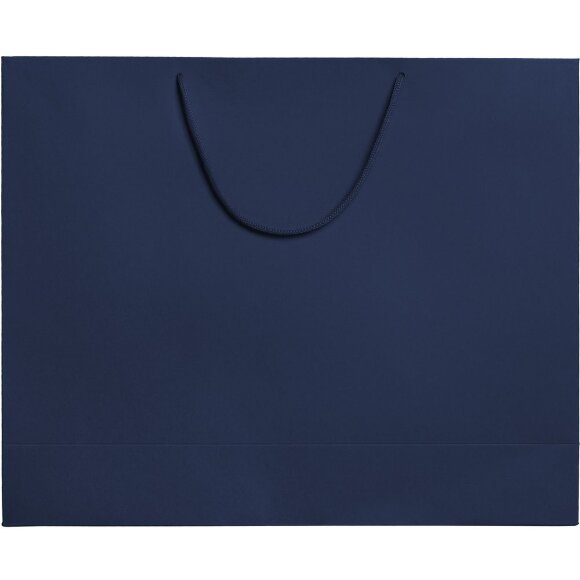 Пакет бумажный Ample Plus L, синий