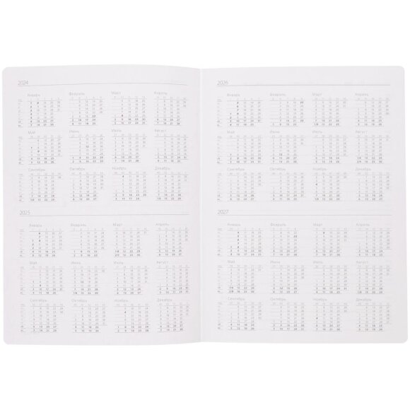 Ежедневник Flexpen, недатированный, серебристо-красный Ежедневник Flexpen, недатированный, серебристо-красный