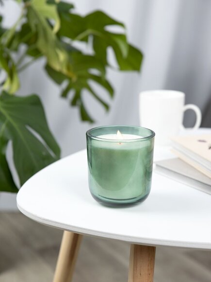 Набор Vitral, дубовый мох и пачули, зеленый Набор Vitral, дубовый мох и пачули, зеленый