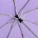 Зонт складной AOC, сиреневый