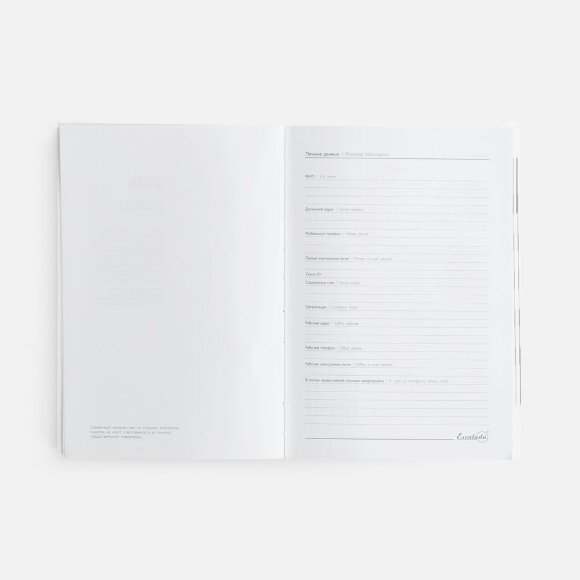 Ежедневник Baza, датированный, зеленый