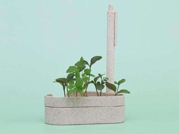 Набор для записей с семенами ромашки Patio Набор для записей с семенами ромашки Patio