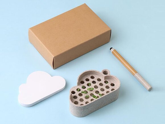 Набор для записей с семенами ромашки Patio Набор для записей с семенами ромашки Patio