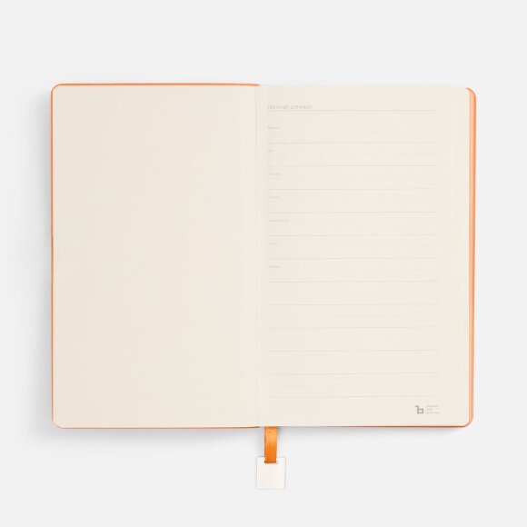 Ежедневник Shall Light, недатированный, оранжевый Ежедневник Shall Light, недатированный, оранжевый
