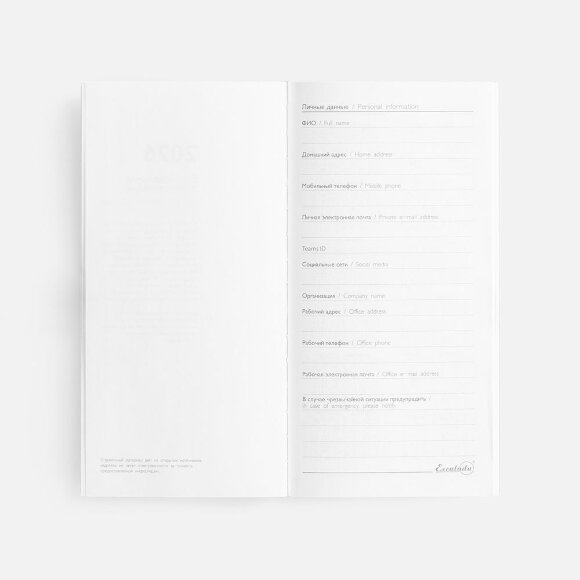 Еженедельник Baza, датированный, зеленый