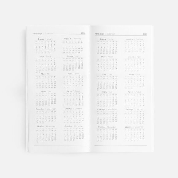 Еженедельник Baza, датированный, серый