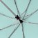 Зонт складной AOC, зеленый (мятный)