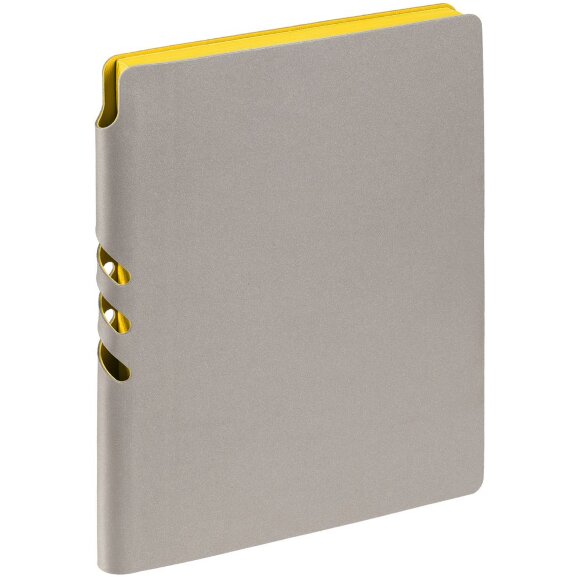 Ежедневник Flexpen, недатированный, серебристо-желтый Ежедневник Flexpen, недатированный, серебристо-желтый