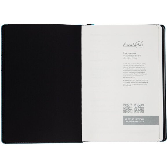 Ежедневник Alanis, недатированный, черный с голубым