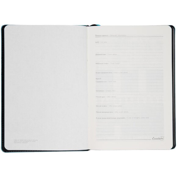 Ежедневник Alanis, недатированный, черный с голубым