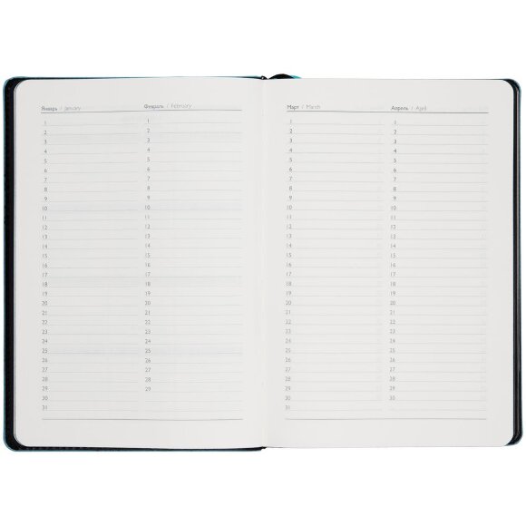 Ежедневник Alanis, недатированный, черный с голубым