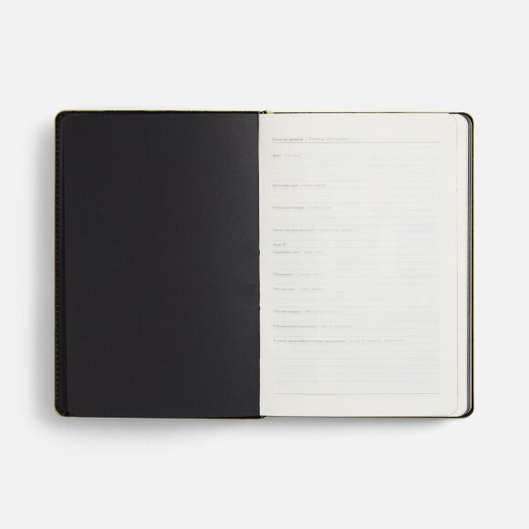 Ежедневник Alanis, недатированный, черный с желтым