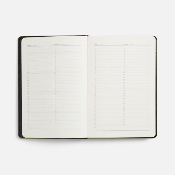 Ежедневник Alanis, недатированный, черный с желтым