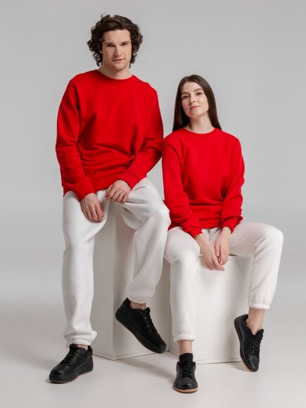 Свитшот унисекс BNC Inspire (Organic), красный Свитшот унисекс BNC Inspire (Organic), красный