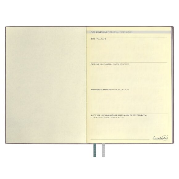 Ежедневник Avila, недатированный, серый Ежедневник Avila, недатированный, серый