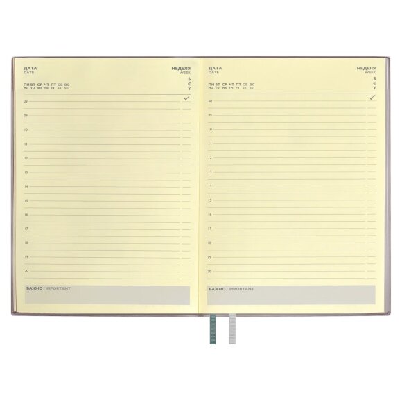 Ежедневник Avila, недатированный, серый Ежедневник Avila, недатированный, серый