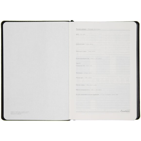 Ежедневник Alanis, недатированный, черный с зеленым