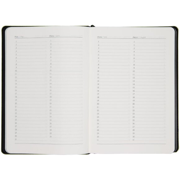 Ежедневник Alanis, недатированный, черный с зеленым