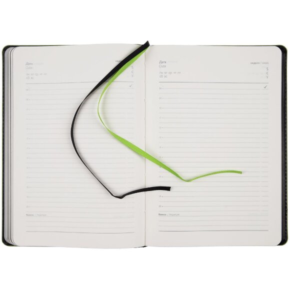 Ежедневник Alanis, недатированный, черный с зеленым