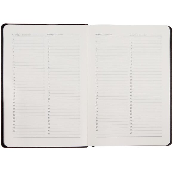 Ежедневник Alanis, недатированный, черный с фиолетовым