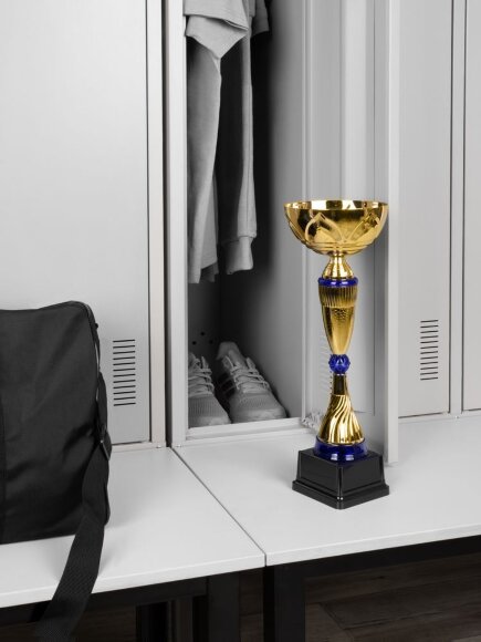 Кубок Awardee, большой, синий