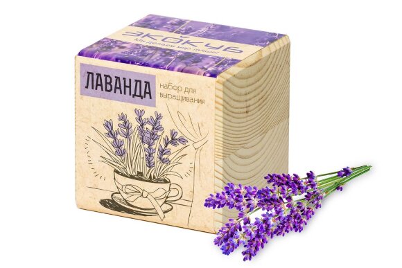 Набор для выращивания «Экокуб», лаванда Набор для выращивания «Экокуб», лаванда