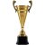 Кубок Recordsman, золотистый