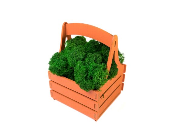 Композиция Корзинка со мхом, оранжевый Композиция Корзинка со мхом, оранжевый