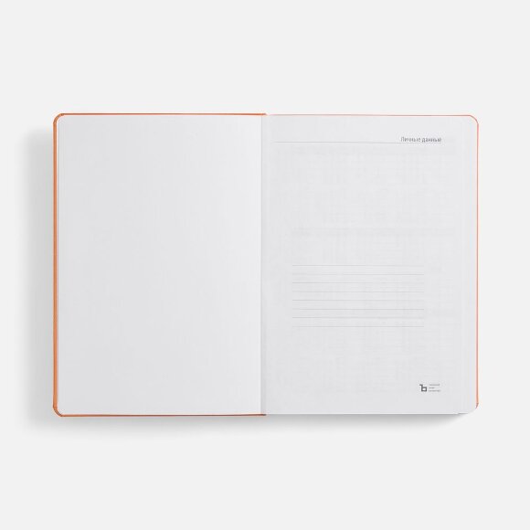 Ежедневник Basis, датированный, оранжевый