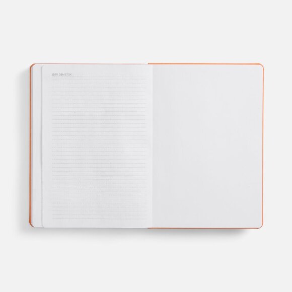 Ежедневник Basis, датированный, оранжевый