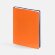 Ежедневник Spring Shall, недатированный, оранжевый