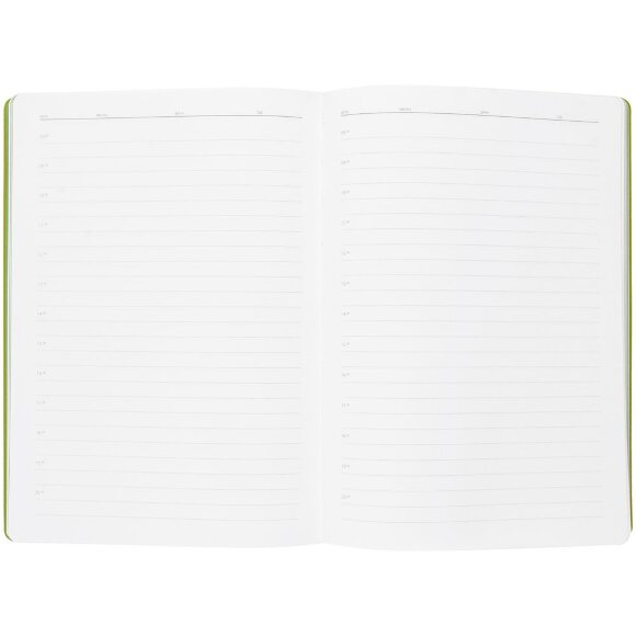 Ежедневник Flexpen, недатированный, серебристо-зеленый Ежедневник Flexpen, недатированный, серебристо-зеленый